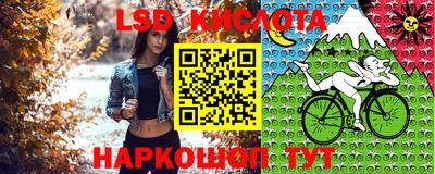 ПСИЛОЦИБИНОВЫЕ ГРИБЫ Кандалакша
